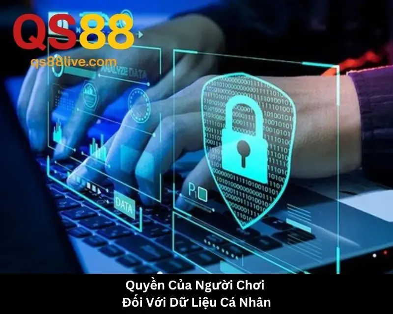 Quyền Của Người Chơi Đối Với Dữ Liệu Cá Nhân